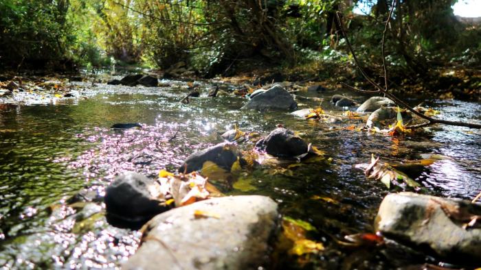 junction motel new norfolk