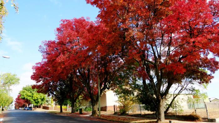 junction motel new norfolk