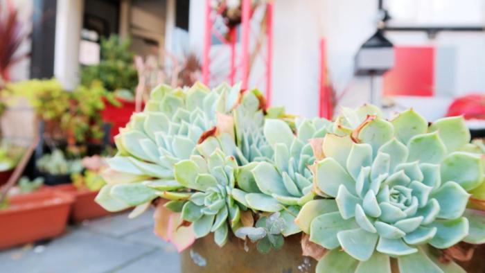 junction motel new norfolk