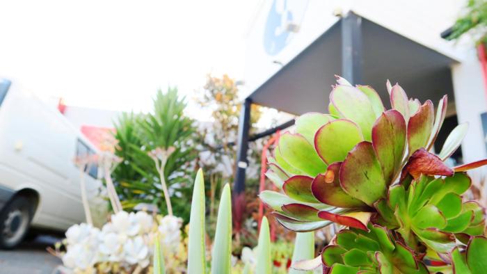 junction motel new norfolk