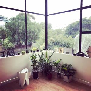 Blue Hills Motel,Glebe>>Battery Point,2.5 star
