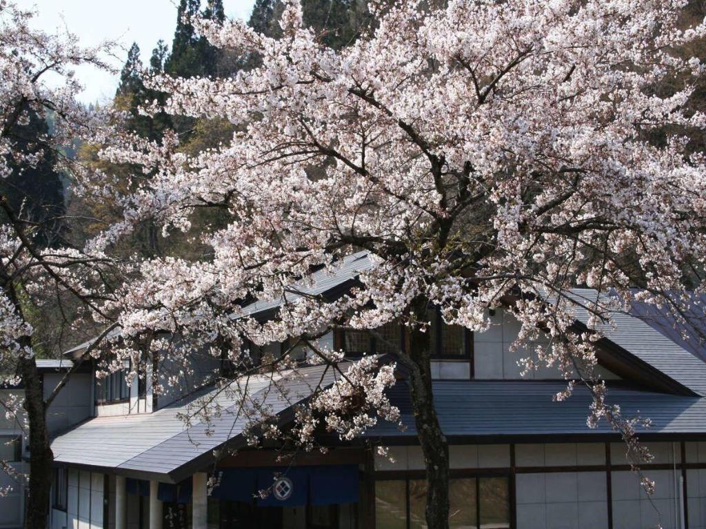 nishiwaga