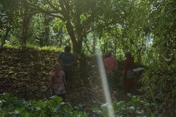 the goat village escape