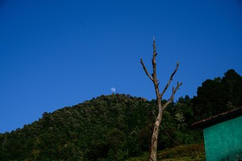 the goat village escape