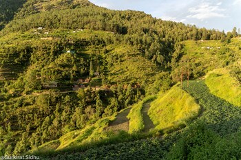 the goat village escape