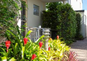Anchor Motel Noosa,Noosa Heads>>Noosa,3 star