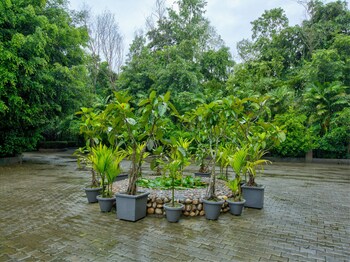 golaghat