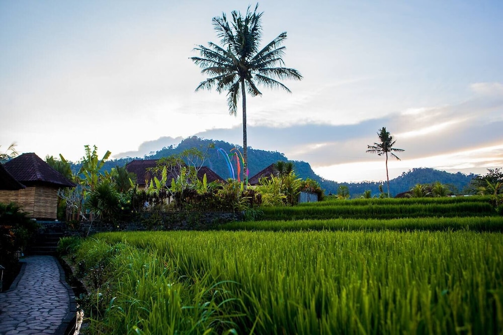pelangi villas sidemen