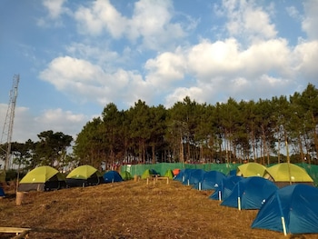 Camp David Kigwema,Henima>>Dimapur,2 star