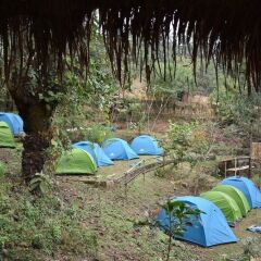 Camp David Kigwema,Henima>>Dimapur,2 star