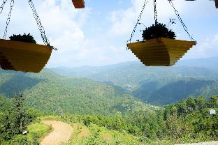 nainital