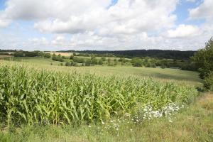 hotel leo muhlhausen