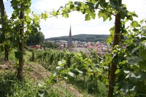 hotel leo muhlhausen