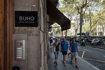 buho boutique rooms