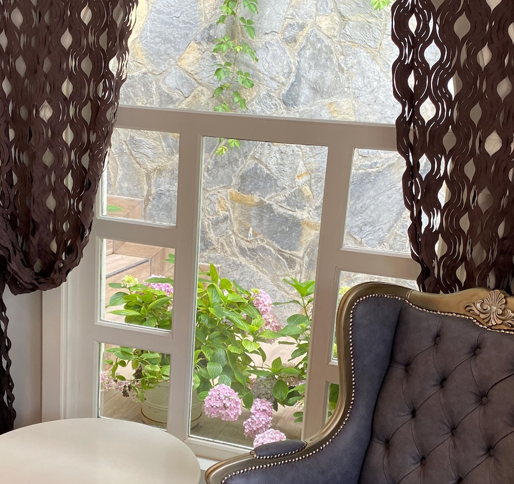 ascot hotel buyukada