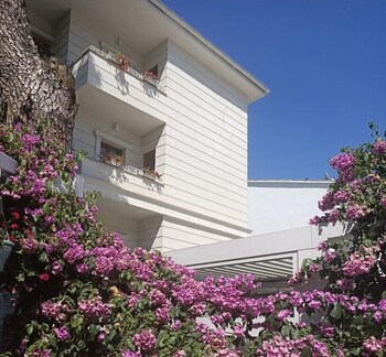 ascot hotel buyukada