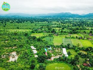 polo retreat resort polo forest vijayanagar