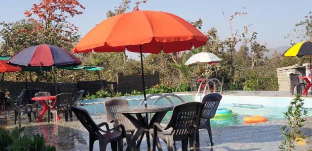 polo retreat resort polo forest vijayanagar