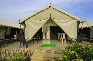 polo retreat resort polo forest vijayanagar