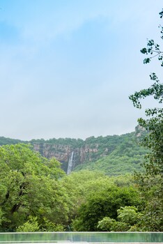 ranthambore