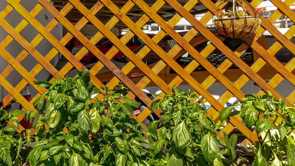 hotel and pousada favareto