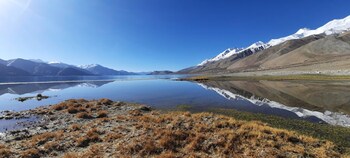 pangong