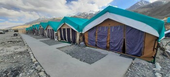 pangong