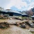 camp dharamshala luxury with peace