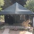 camp dharamshala luxury with peace