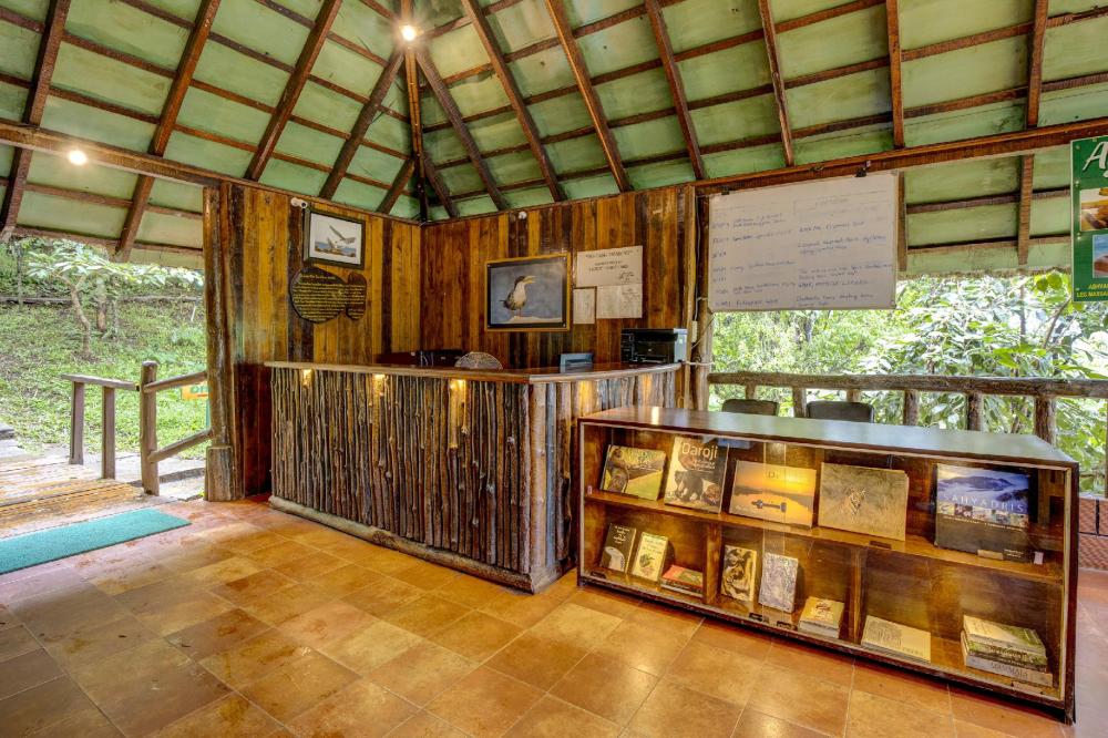 the river tern lodge junglelodges