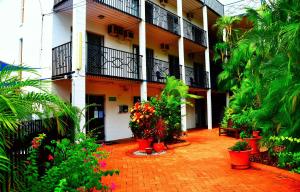 Coconut Grove Holiday Apartments,Bagot>>Alice Springs,4 star