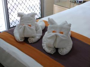 coconut grove holiday apartments
