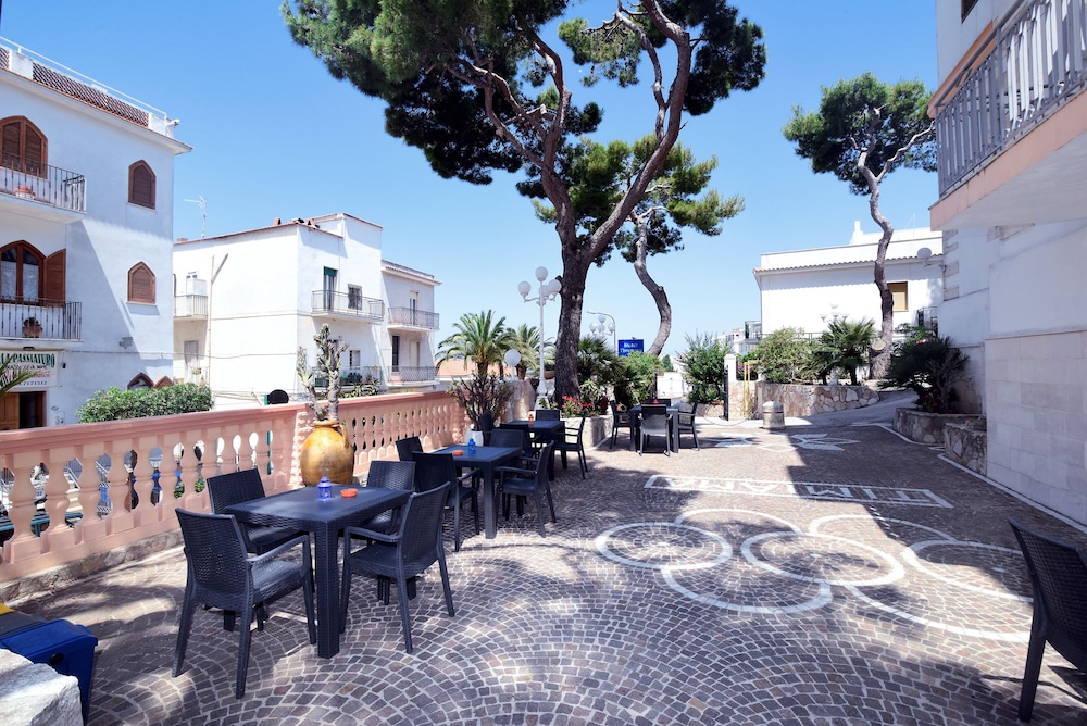 hotel timiama