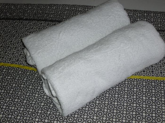 royal palms motor inn