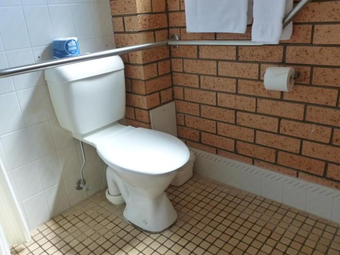 royal palms motor inn