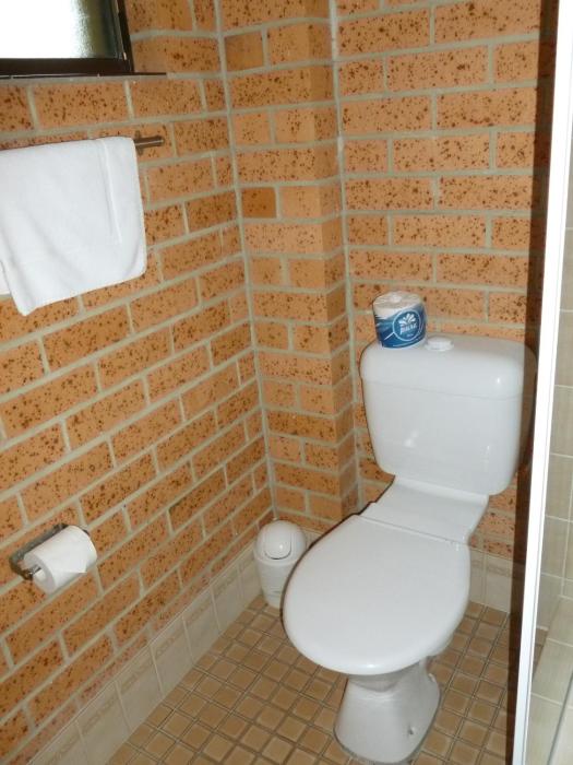 royal palms motor inn