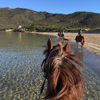 bonsai bandb alghero