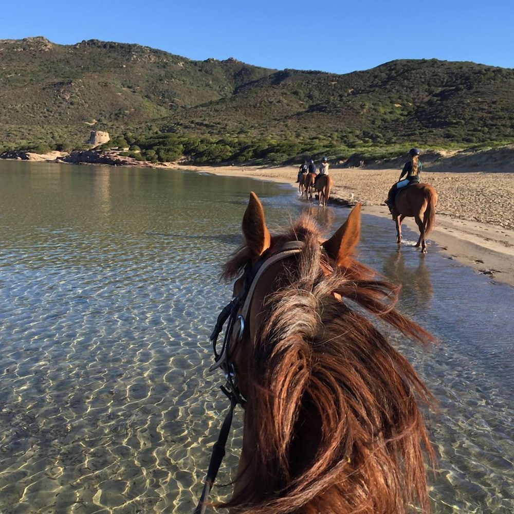 bonsai bandb alghero