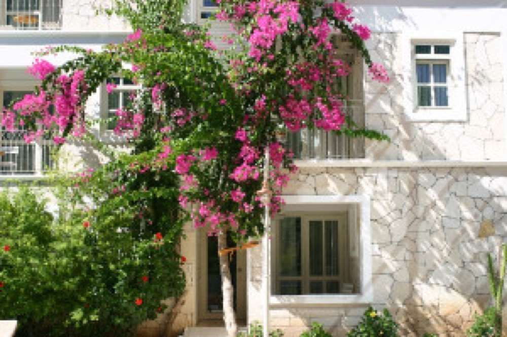 petunya konak boutique class