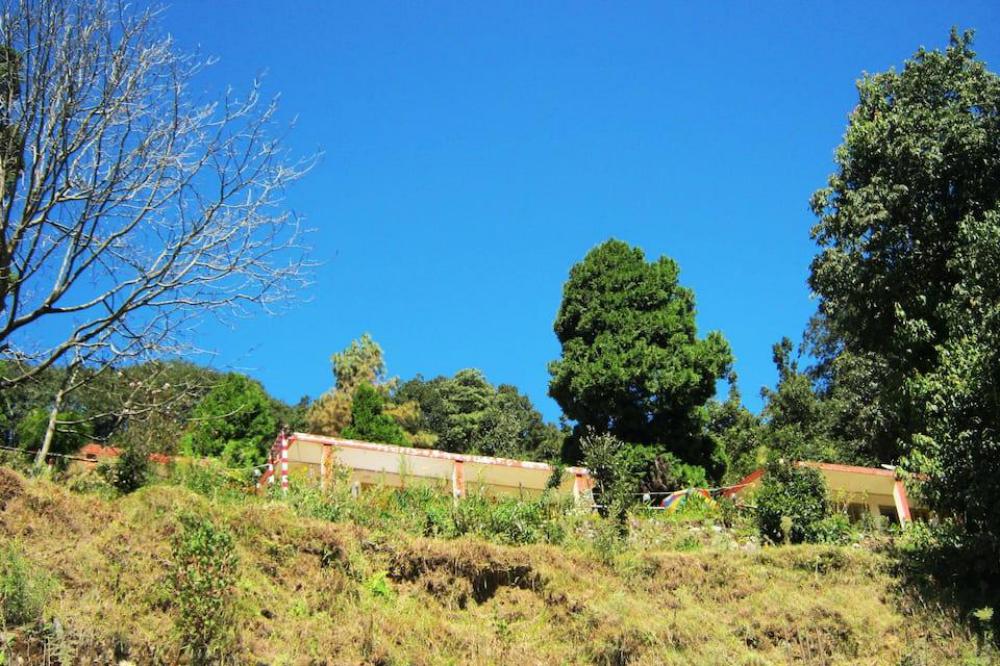 janardan resort pangot nainital