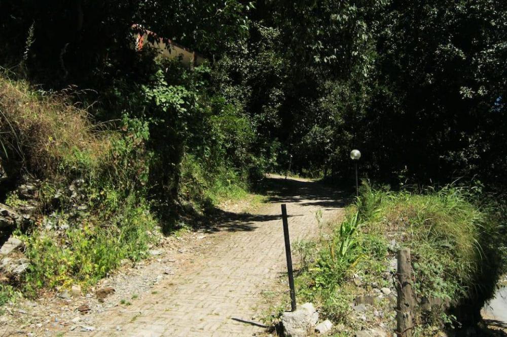 janardan resort pangot nainital