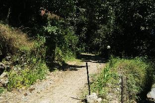 janardan resort pangot nainital