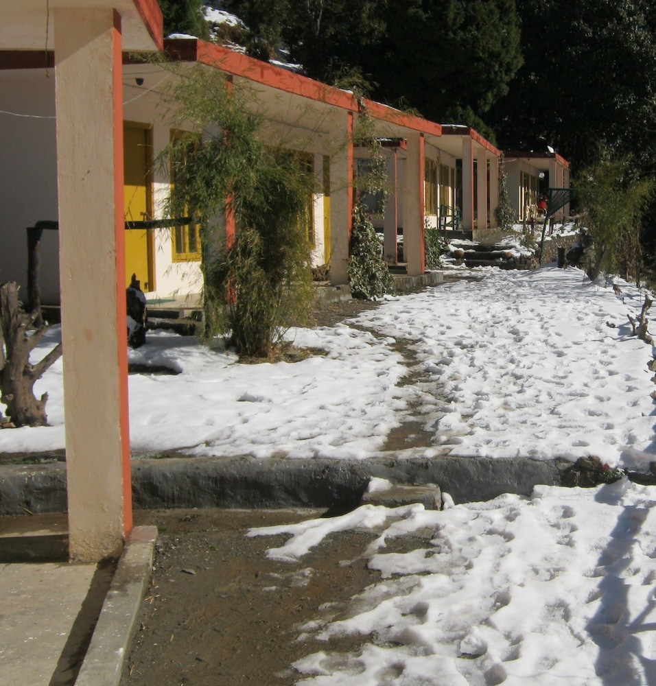 janardan resort pangot nainital