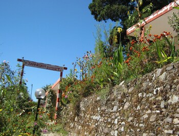 janardan resort pangot nainital