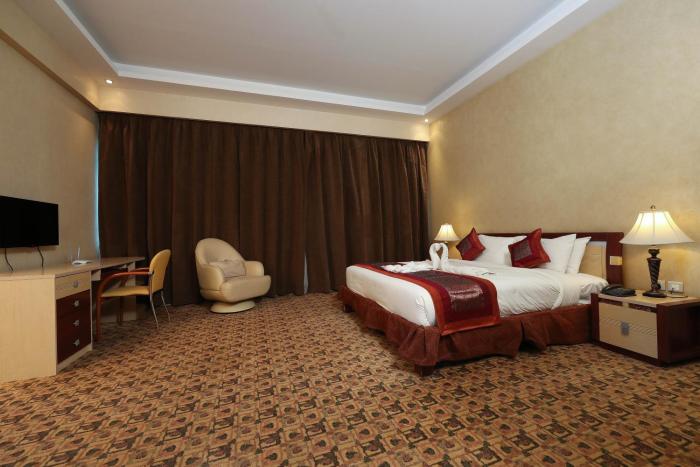 excelsior luxury apartments