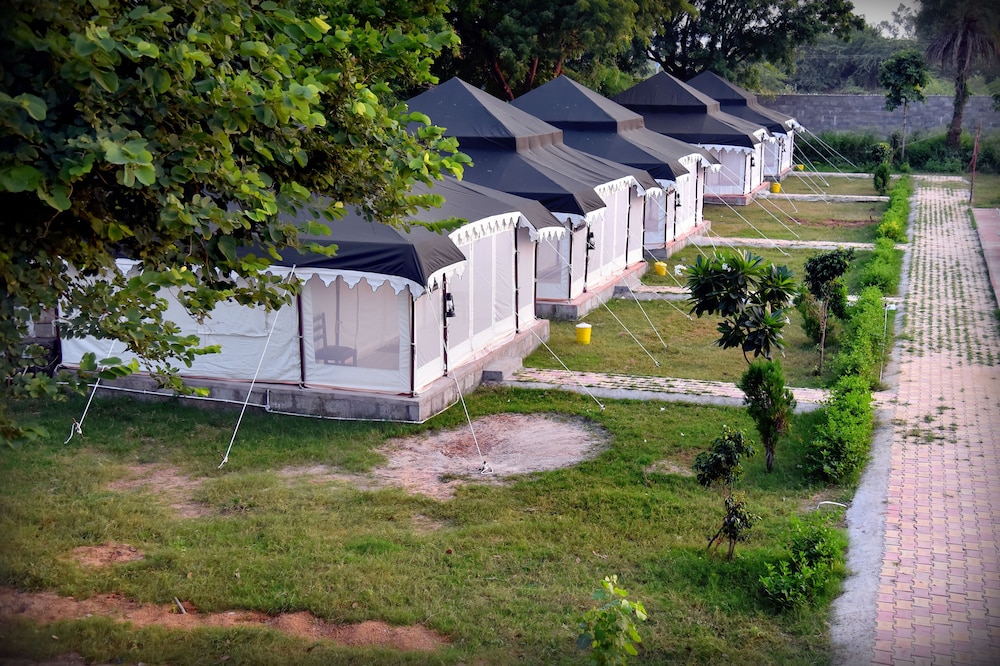 tiger queen ranthambore
