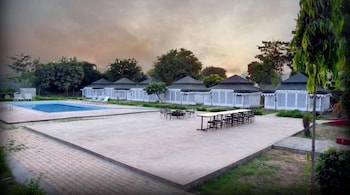 tiger queen ranthambore