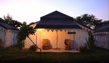 Tiger Queen Ranthambore,Rajasthan>>Sawai Madhopur,3 star