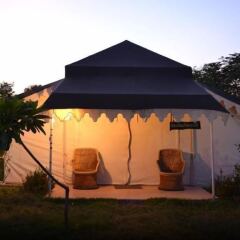 tiger queen ranthambore