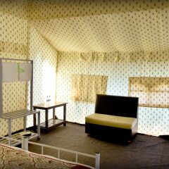 tiger queen ranthambore